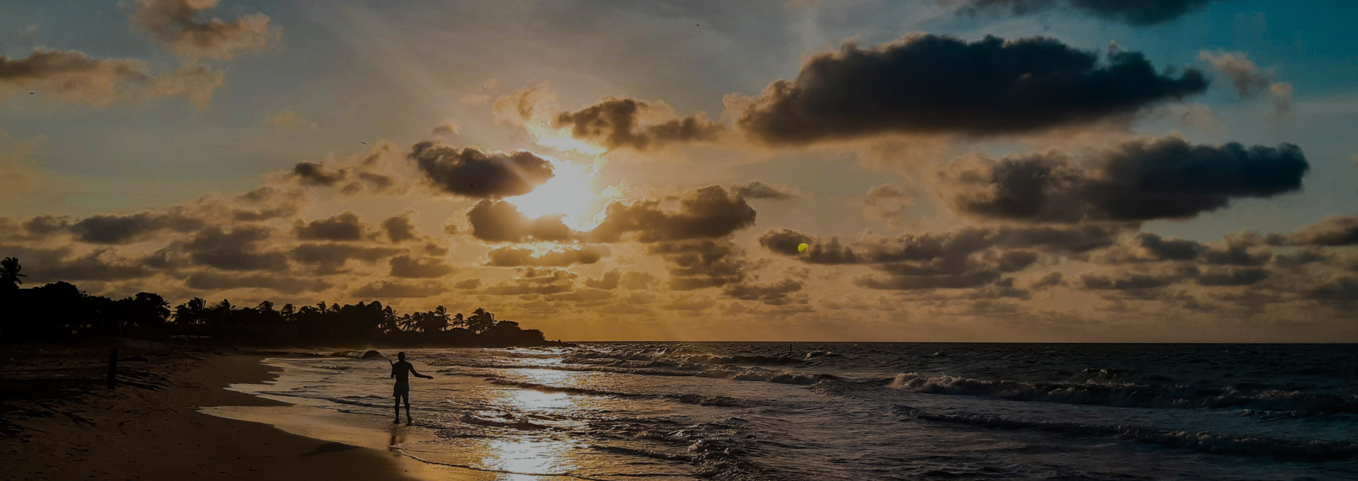 Foresight Research & Insights