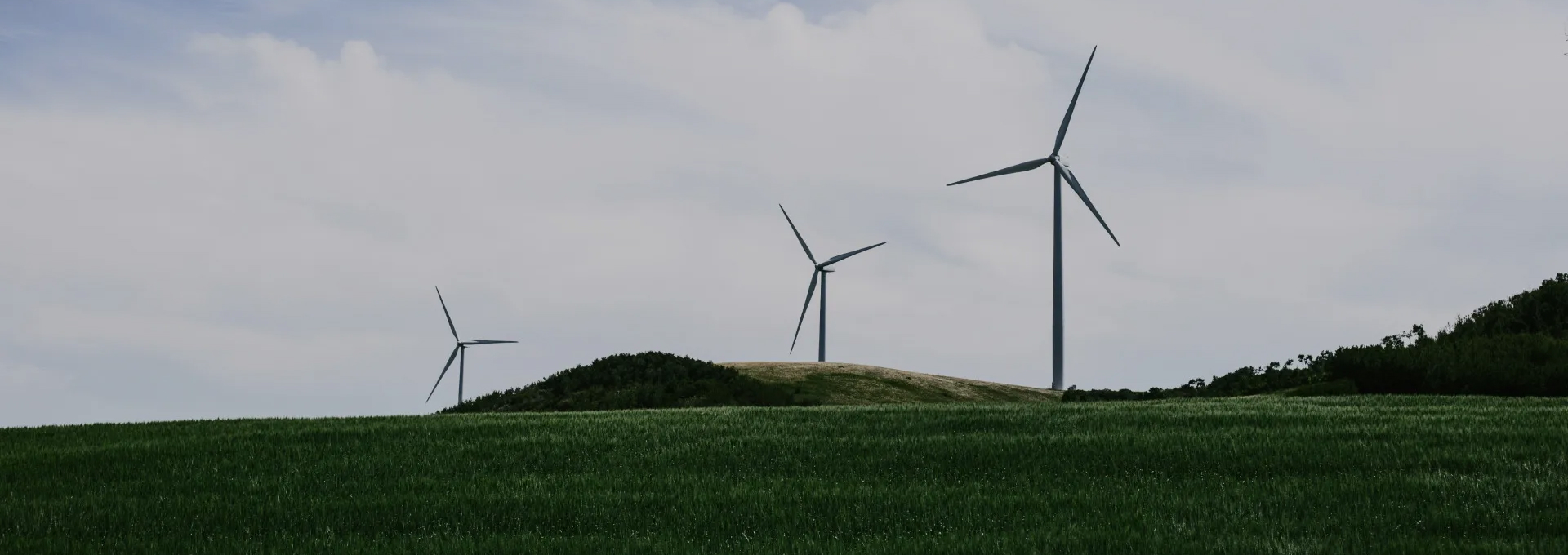 Climate & Sustainable Development Toolkits