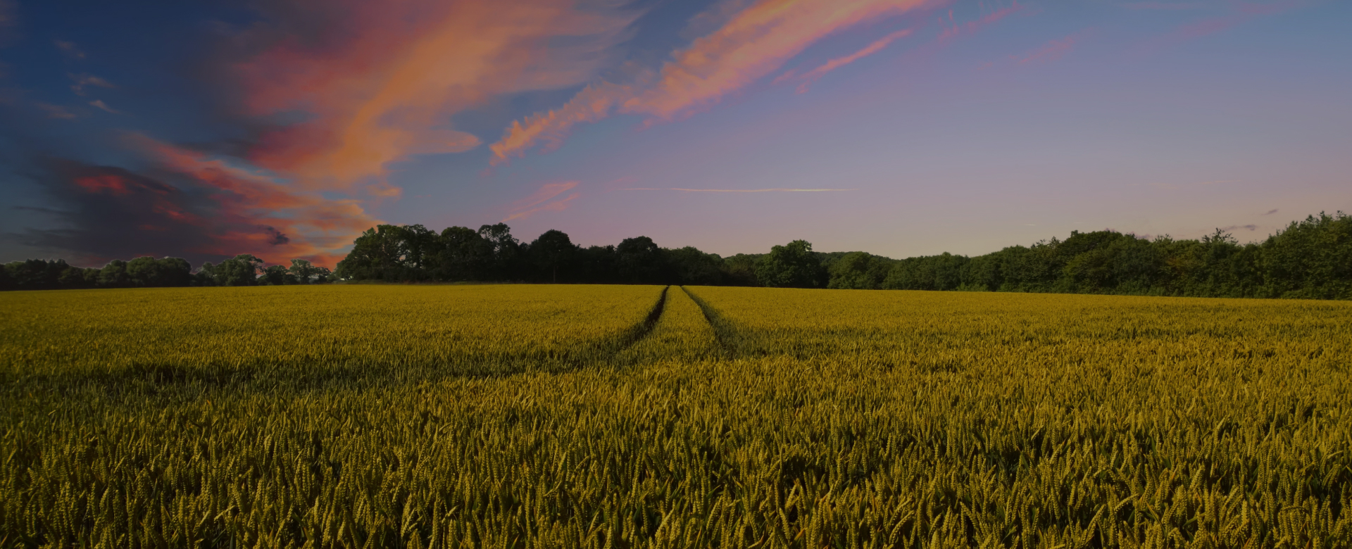 Baoting Innovation Zone