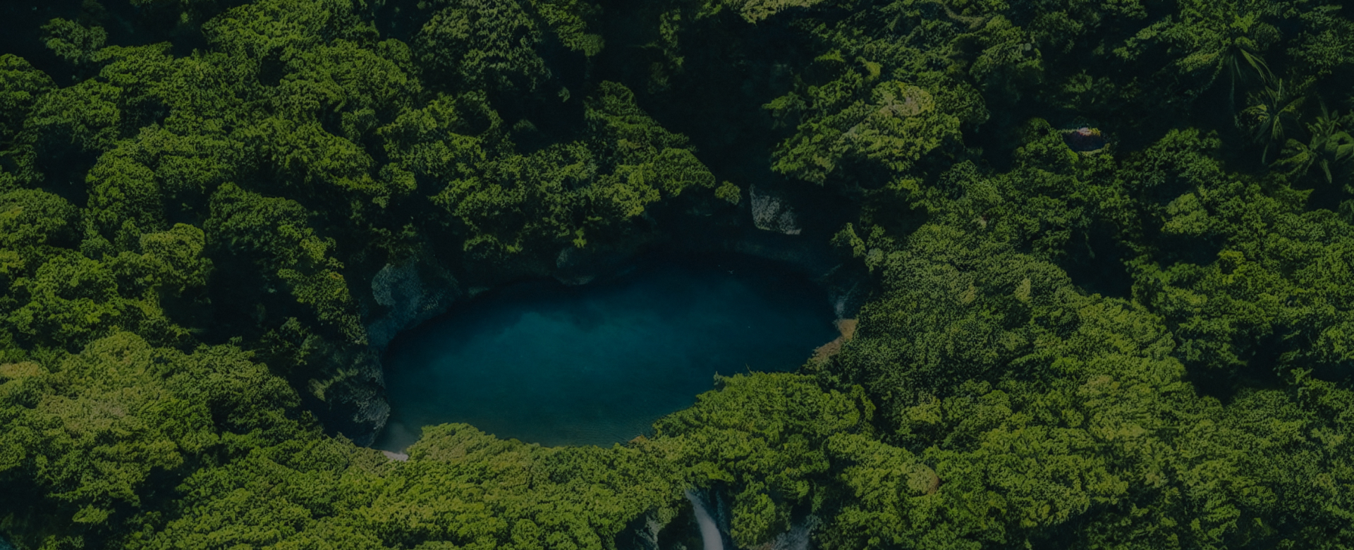 Ningyuan Carbon Neutrality Project